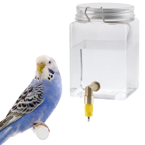 Bird Automatischer Wasserspender Hängende Wasser Fütterung Flasche mit Vielseitigem Nippel und Haken für Vogel Wachteln Küken von DQITJ