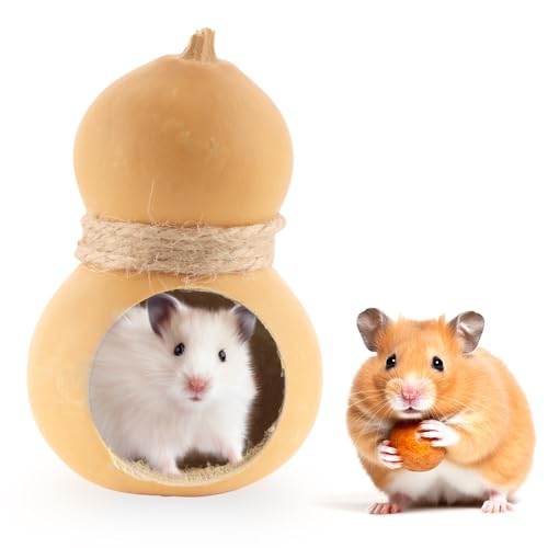 DQITJ Natural Gourd Vermeidung Hamsterhaus Bequemes Versteck Hütte Ruheplatz (Lochdurchmesser 4,2 cm) von DQITJ