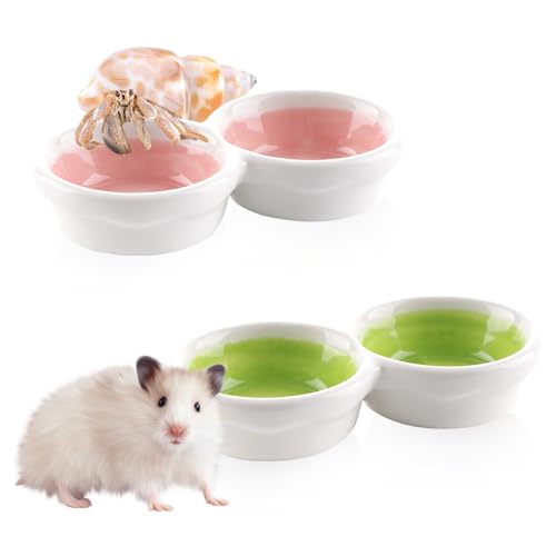 Futter- und Wassernapf für Einsiedlerkrebse, Hamster, Keramik, Anti-Dreh-Futterschale für Hamster, Zuckergleiter, Einsiedlerkrebse, zufällige Farbe, 2 Stück von DQITJ