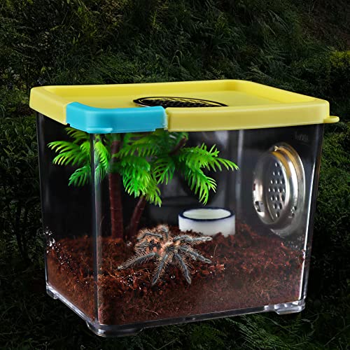 Spinnenzuchtbox Tarantel Transparent Futterbox Brutbehälter Insektenhaus Käfig (10,4 x 8,9 x 7,9 cm) von DQITJ