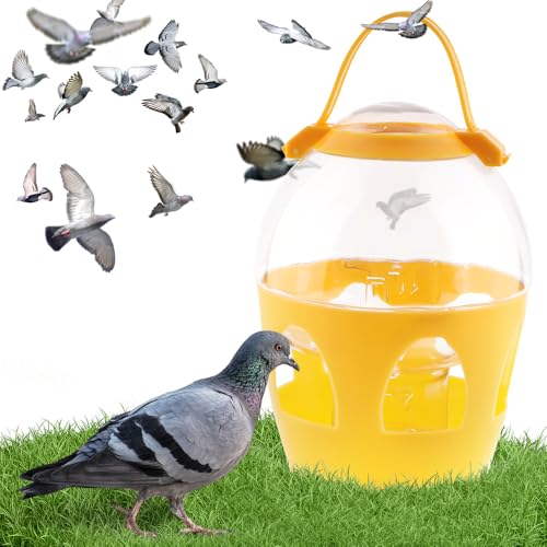 Taubenwasserspender Feeder 2L Wassertopf Behälter mit Griff für Taube Huhn Papagei Ente Geflügel (Orange) von DQITJ