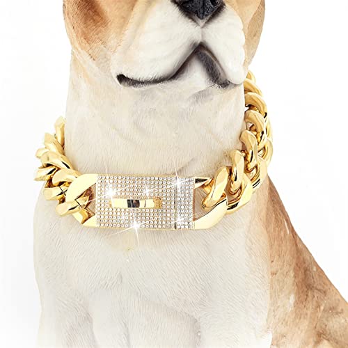 DQZRTUECA Diamant-Goldkettenhalsband for Hunde, 19 mm glänzende Luxus-Hundehalskette, ausgefallene goldene Hundeleine mit glänzendem Kristall-Bling, starken Gliedern und langlebiger Schnalle(12 inches von DQZRTUECA