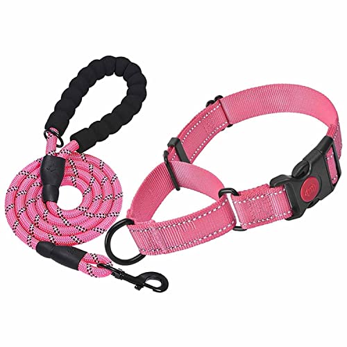 DQZRTUECA Hundehalsband und Leine-Set, Martingalhalsbänder for Hunde, reflektierendes Martingalhalsband for kleine, mittelgroße und große Hunde(Small Size) von DQZRTUECA