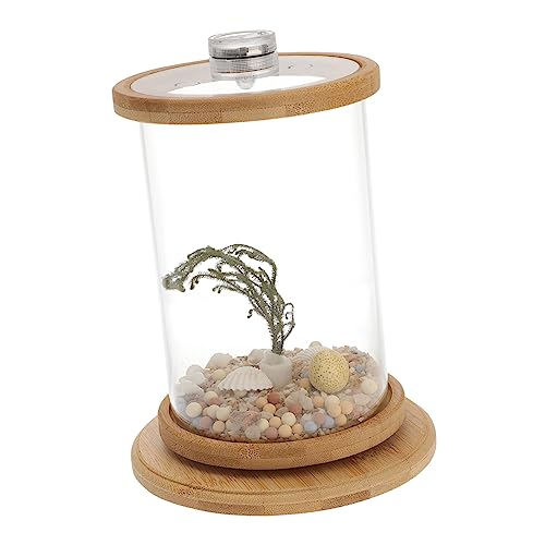 DRESSOOS 1 Satz Desktop Micro View Aquarium Goldfischglas Desktop-Dekoration Hydroponischer Reinigungstank Hydroponisches Pflanzenterrarium Durchsichtiger Fisch Anfänger-Aquarium Green von DRESSOOS