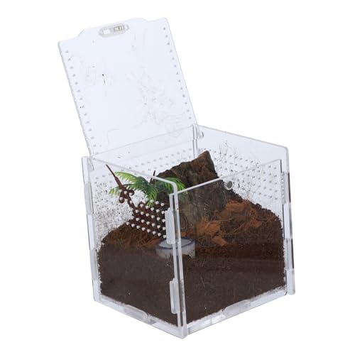 DRESSOOS 1 Set Springspinne Zuchtbox Zuchtbehälter Reptilienkoffer Spinnenterrarium Insektenhabitatkoffer Insektenbehälter Futterkoffer Insektenhabitatkäfig Acryl von DRESSOOS