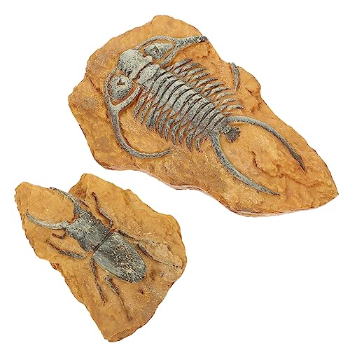 DRESSOOS 2Er-Box simuliertes Harzfossil Fossilien-Ausgrabungsset Krabbelterrarium Dekore Grabset Reptile Decor Terrarium Decor Spielzeug Eidechsenlandschaft dekorative Reptiliendekore von DRESSOOS