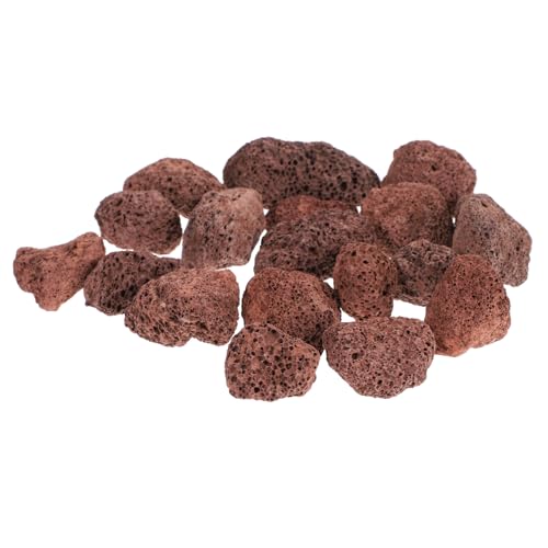 DRESSOOS 450 g Vulkangestein Für Aquarien Filtermaterial Und Wasserornament Für Aquascaping Ideal Für üßwasseraquarien Fördert Das Wachstum Von Pflanzen Und Mikroorganismen von DRESSOOS