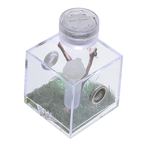 DRESSOOS Box Springspinne Zuchtbox Mikrolebensraum Terrarien Haustier Laufstall Vogelspinne Gehege Tank Spinnenbehälter Großer Laufstall Tierzaun Mini Lebewesen Schneckengehege von DRESSOOS