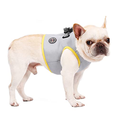 DRESSOOS Coole Weste Für Haustier Stilvolle Haustierkleidung Geschirr Für Kleine Hunde Kühlgeschirr Für Haustiere Hundegeschirr Service Hund Leibchen Hund Kühlung Mesh-Tanktop Sommer Jacke von DRESSOOS