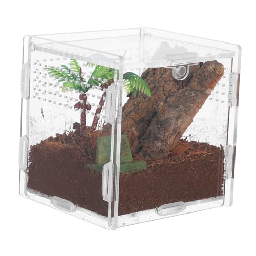 DRESSOOS Haustier Spinnenbox Frosch Plüschtiere Terrarium Chamäleon Zubehör Tier Laufstall Miniatur Koffer Frösche Vogelspinne Zubehör Schildkrötengehege Spinnentank von DRESSOOS