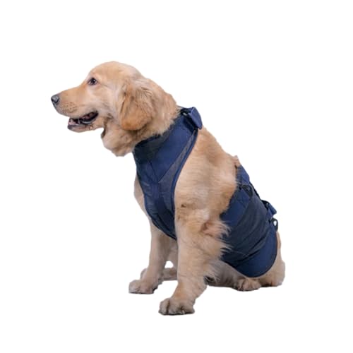 DRESSOOS Hilfsgürtel für Haustiere Hund hilfsgurt Haustier-Zuggurt Hundebesitzer hundepflege Hunde erziehung Hunde Training Hundeleine hundeartikel medizinischer gürtel für Hunde Blue von DRESSOOS