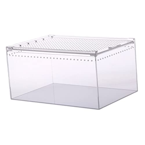 DRESSOOS Kasten Krabbelbox Aus Acryl Schlangengehege Lebensmittelbehälter, Behälter Für Lebensmittel Kleine Tierhäuser Terrarium Für Reptilien Reiseträger Für Reptilien Aquarium Transparent von DRESSOOS