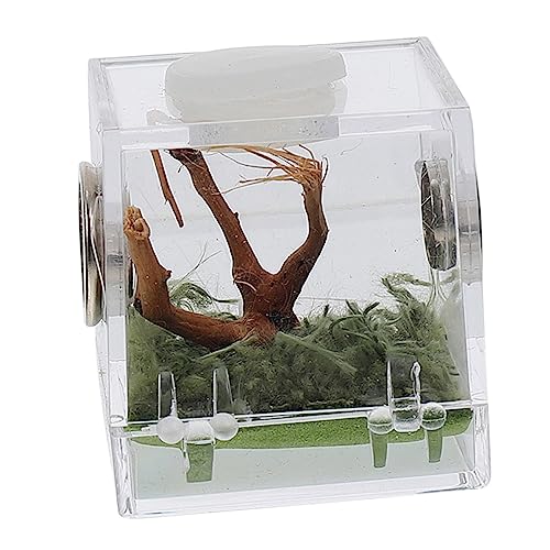 DRESSOOS Kasten Springspinnen-Zuchtbox Schlangenhäute für Königspythons kleines Terrarium Lebensraum Fall kleintierhaus insektenbox Lebensraumkäfig für Insekten Springspinnenfall Acryl von DRESSOOS