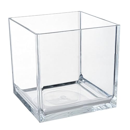 DRESSOOS Multifunktionales Betta Aquarium Transparentes Fischzubehör Mit Integriertem Außenfilter Schwammfilter Und Laichkasten Für Eine Gesunde Umgebung Und Artgerechte Haltung Von von DRESSOOS