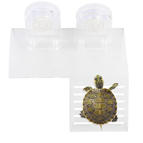 DRESSOOS Schildkröten Sonnenplattform Aus Schwimmende Schildkrötenpier Mit 2 Saugnäpfen Größe S Ideal Für Aquarien Und Terrarien Fördert Das Sonnenbaden Und Die Gesundheit Ihrer von DRESSOOS