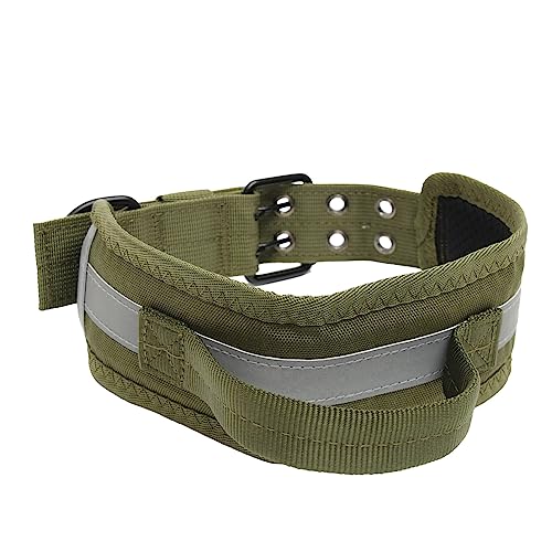 DRESSOOS Verstellbares Robustes Hundehalsband Für Training Haustierzubehör Nylon Halsdekoration Mit Metallverschluss Für Mittelgroße Und Große Hunde von DRESSOOS