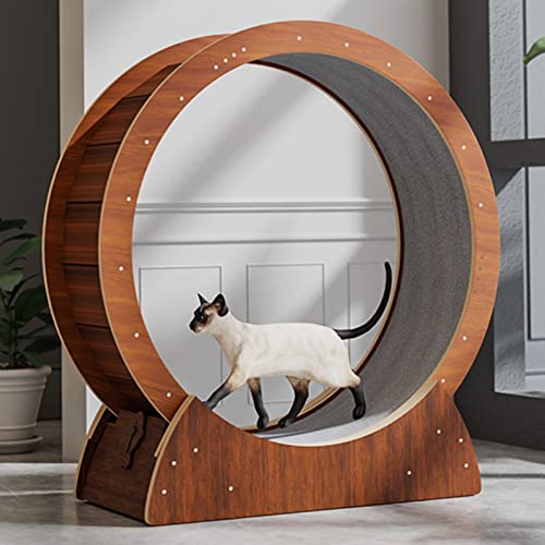 Braunes Laufband, Trainingsgerät für Hauskatzen, Multifunktions-Katzen-Riesenrad/Katzenspielzeug/Katzenmöbel von DRYIC