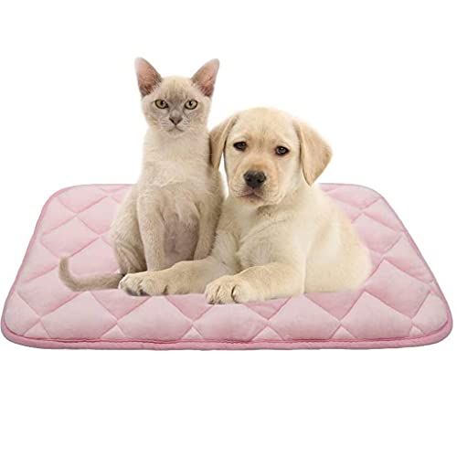 DRYIC Hundebettmatte, weiche Kistenmatte mit Rutschfester Unterseite, maschinenwaschbare Haustiermatratze zum Schlafen von Hunden für große Hunde (A L 106x71 cm) von DRYIC
