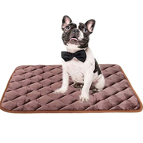DRYIC Hundebettmatte, weiche Kistenmatte mit Rutschfester Unterseite, maschinenwaschbare Haustiermatratze zum Schlafen von Hunden für große Hunde (E S 61x46 cm) von DRYIC