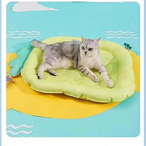 DRYIC Kühlung Cool Pad Ice Pad Hund Isomatte Ice Nest Matte Isomatte Heimtierbedarf Matte von DRYIC