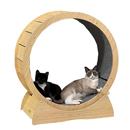 Großes Katzenlaufband aus Holz mit Teppichboden, Fitness, Katzensportspielzeug (L) von DRYIC