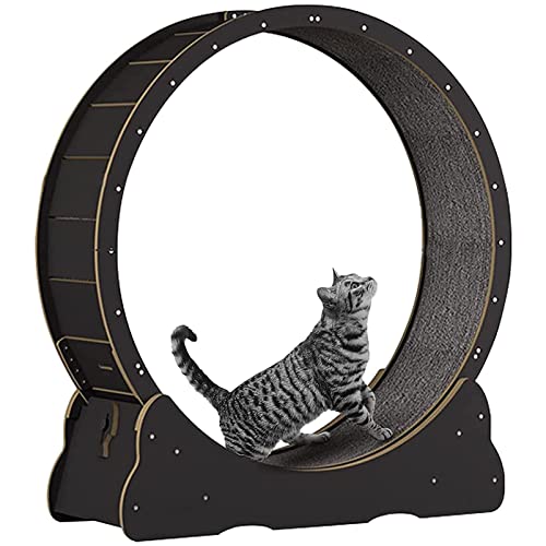 Großes Katzenlaufband mit Design, Laufrad für Hauskatzen, sicheres, leises Katzen-Gewichtsabnahmegerät (Black L) von DRYIC