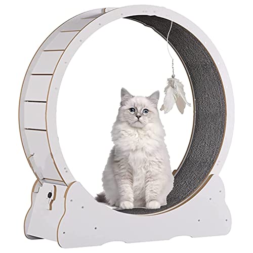 Großes Katzenlaufband mit Design, Laufrad für Hauskatzen, sicheres, leises Katzen-Gewichtsabnahmegerät (White M) von DRYIC