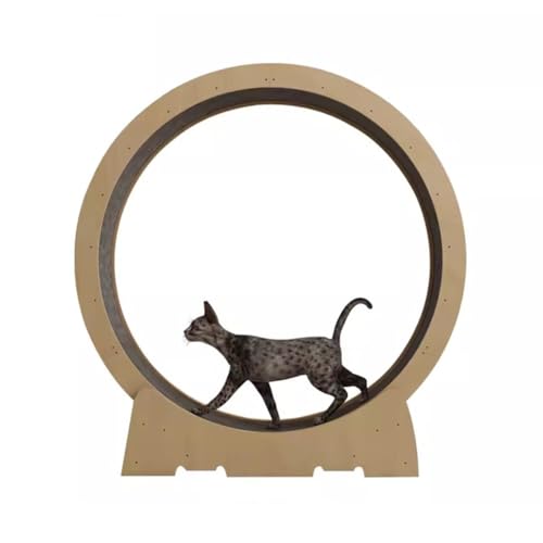 Katzen-Fitness-Laufband, leises Katzenrad für Hauskatzen, Haustier-Katzenspielzeug (Diameter 100cm) von DRYIC