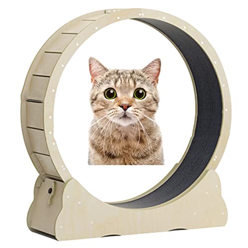 Katzenlaufband, Katzen-Übungsrad, Laufband, Haustierspielzeug – sanftes Anti-Klemm-Design, haustierfreundlich (Größe: Durchmesser 90 cm/35,4 Zoll) von DRYIC