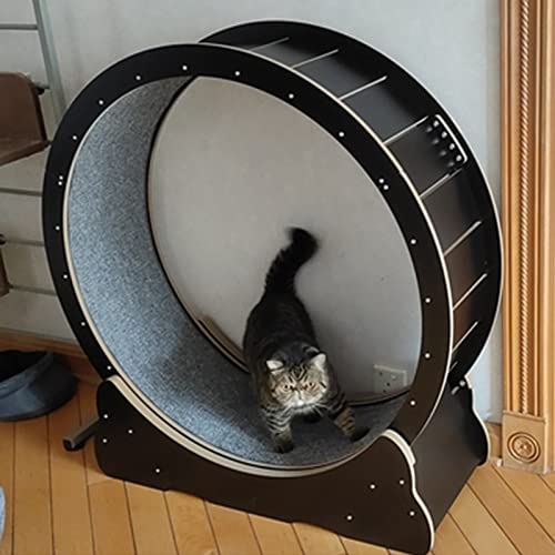 Katzenlaufband, Katzen-Übungsrad, Laufband für Katzen im Innenbereich, Anti-Klemm-Design, Spin-Katzenlaufrad mit Bremse (L) von DRYIC