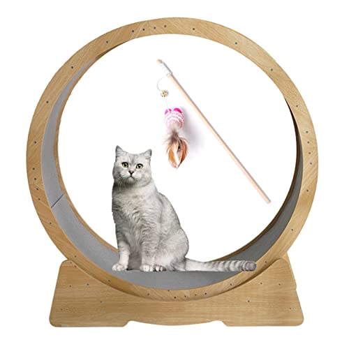 Katzenlaufband, Katzenlaufband, Laufrad mit Katzen-Teaser, Spin Kitty Anti-Pinch-Design, Katzenrad-Trainingsgerät für Hauskatzen, haustierfreundlich von DRYIC