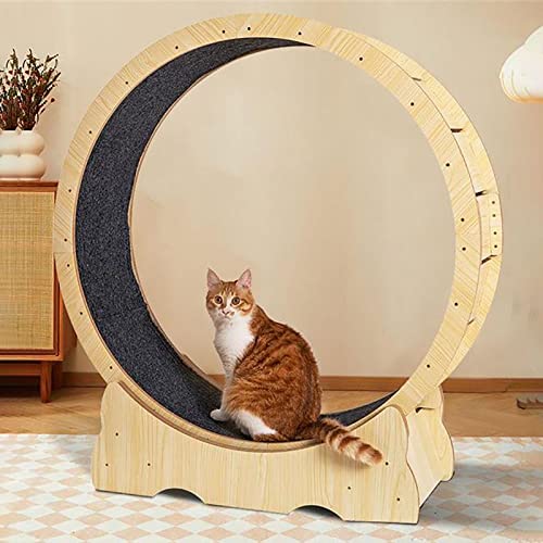 Katzenlaufband, Katzenrad, interaktives Katzenspielzeug für kleine und große Katzen im Innenbereich, Laufen, Kratzen, Sportspielzeug für Katzen von DRYIC