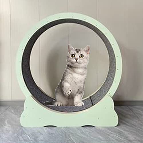 Katzenlaufband, grünes Katzenrad-Trainingsgerät für Hauskatzen, sanftes kleines Katzenlaufband mit Teppichlaufbahn (Diameter 100cm/39.4in) von DRYIC