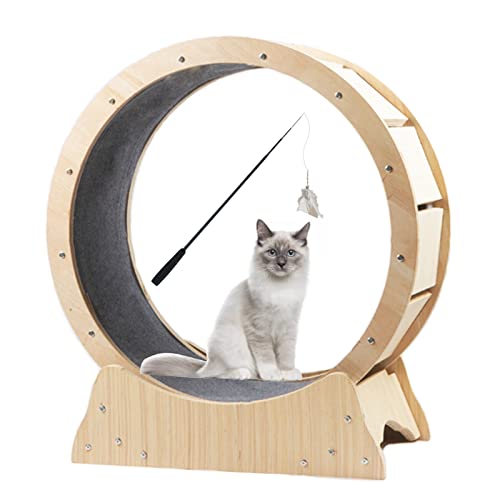 Katzenlaufband, kleines Laufband mit Katzen-Teaser, Anti-Klemm-Kätzchen-Spielzeug, Laufmaschine, geräuscharmes Haustiermöbel für Hauskatzen von DRYIC