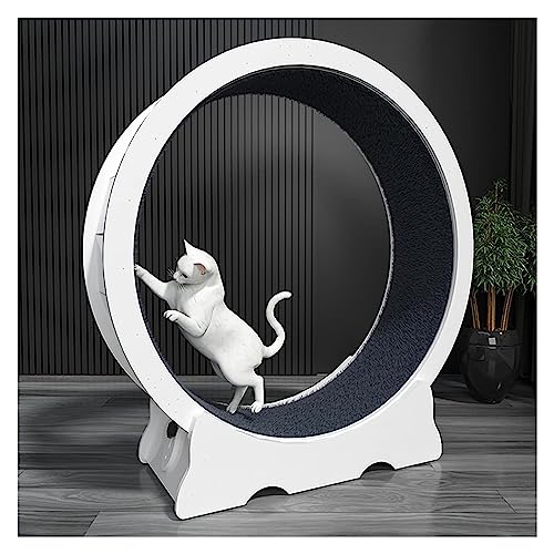 Katzenlaufband, leise Katzenräder für Hauskatzen, kleines/großes Spielzeug, Katzenrad-Trainingsgerät (90cm/35.4) von DRYIC