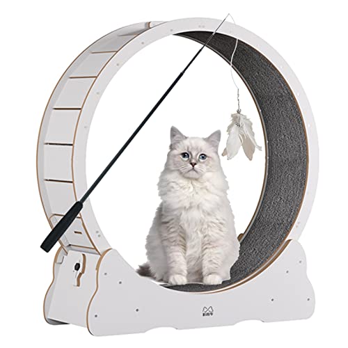 Katzenlaufband, stummgeschaltetes Katzen-Übungsrad, Laufband mit Katzen-Teaser-Spielzeug, Anti-Pinch-Katzenkratzbrett, Krabbelregal (Diameter 100cm/39.4in) von DRYIC