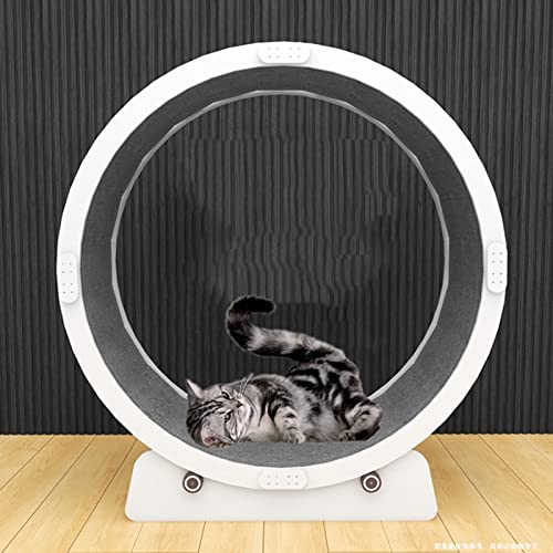 Katzenlaufband, weißes Laufband für die Gesundheit von Katzen, leises, sanftes Laufgerät, energiegeladenes Katzen-Fitness-Spielzeug zum Abnehmen (White L) von DRYIC