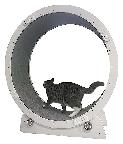 Katzenlaufband Nein für Hauskatzen, sicheres Katzendrehrad – als Katzenkratzer/Katzenbaum (100cm/39.4) von DRYIC