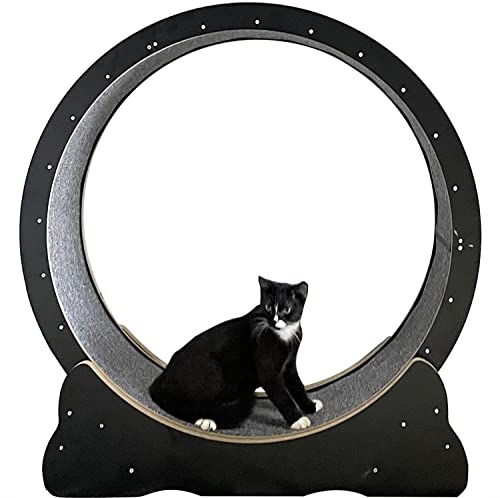 Katzenlaufband aus Holz für Katzen im Innenbereich, schwarzes Trainingsgerät, Katzenkratzbrett/Krabbelregal (Black L) von DRYIC