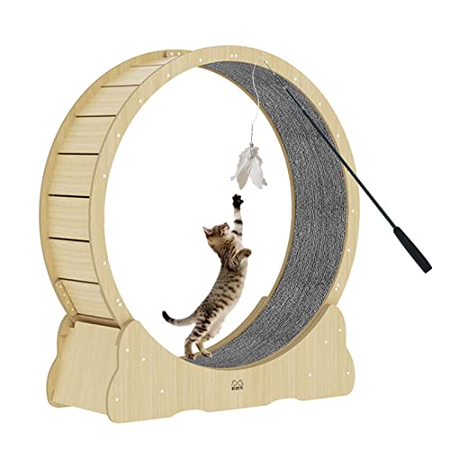 Laufband für Katzen, Katzenspielzeug, Laufband für Katzen, Laufband mit Katzen-Teaser, Lauf- und Kratzspaß, Laufrad für Katzen (Diameter 100cm/39.4in) von DRYIC