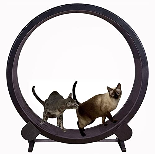 Laufband für Katzen, Klettergerüst für Haustiere, Laufmaschine für Haustiere, leises Laufband für Katzen, Fitnessgewicht für Katzen von DRYIC