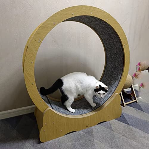 Laufband für Katzen, Laufband aus Holz, Riesenrad mit Bremse, Haustierfreundliche Haustiermöbel, Kratzbrett (Diameter 100cm/39.4in) von DRYIC