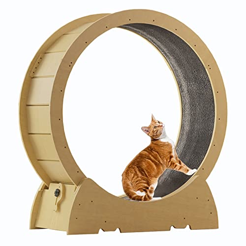 Laufband für Katzen – Laufen, Kratzspaß, für Hauskatzen, Trainingsgerät, natürliche Holzfarbe von DRYIC