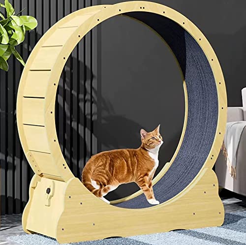 Leises, geräuschloses Trainingsgerät für Katzen im Innenbereich, Katzenlaufband, Riesenrad, Spielzeug zum Abnehmen, Übungsspielzeug (Brown XL) von DRYIC