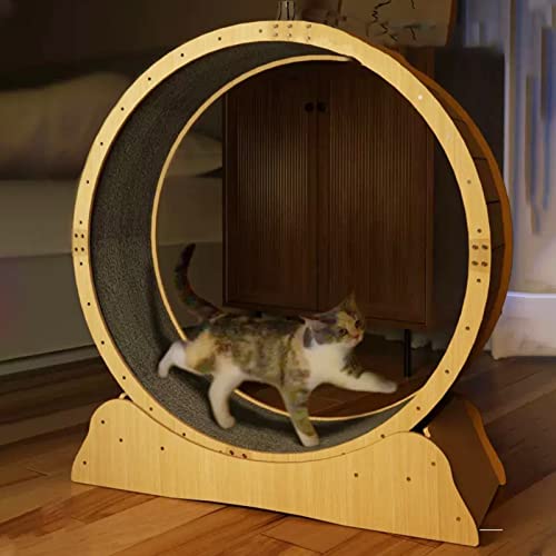 Leises Laufband für Katzen im Innenbereich, Riesenrad, robuste Möbel mit Verriegelungsmechanismus, Klettern für Haustiere (90CM(35 3/8) von DRYIC