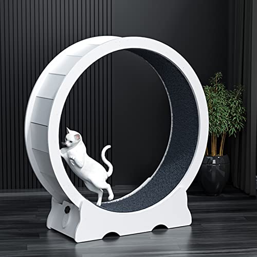 PVC-Übungsrad für Katzen im Innenbereich, weißes Anti-Klemm-Katzenlaufband ohne (70/80/90/100 cm Durchmesser) (White S) von DRYIC