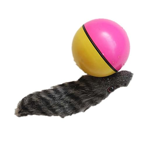 DSOUWEH Interessantes Haustierspielzeug Hund Innovativer Ball zum Rollen Spaß Geschenk Kunststoff Biber Wiesel Spielzeug Biber Ball Spielzeug Einzigartiges Haustierspielzeug von DSOUWEH