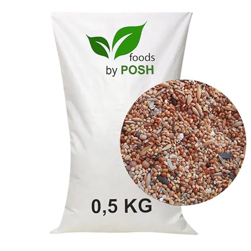 0,5KG Vogelfutter SUPER Preis Streufutter Vogelfuttermischung 4 Jahreszeiten TOP (0,5 KG) von DTP-SOFT