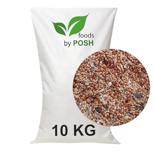 10KG Vogelfutter SUPER Preis Streufutter Vogelfuttermischung 4 Jahreszeiten TOP (10 KG) von DTP-SOFT