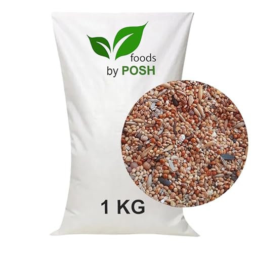 1KG Vogelfutter SUPER Preis Streufutter Vogelfuttermischung 4 Jahreszeiten TOP (1 KG) von DTP-SOFT